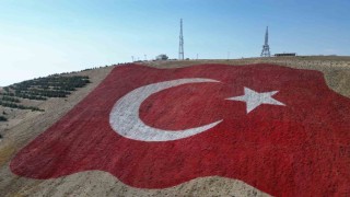 Dünyanın en büyük Türk bayrağı Ahır Dağına yapıldı, savaş uçakları selamladı