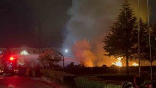 Düzcede ahşap fabrikasının bahçesinde yangın