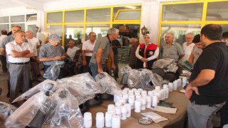 Düzcede kahverengi kokarca ile mücadele devam ediyor