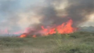 Düzcede yol kenarındaki yangın güçlükle söndürüldü