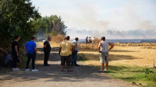 Edirnede anız yangını ahırlara sıçramadan söndürüldü