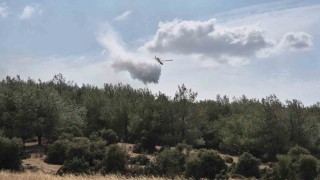 Edirnede çıkan yangın ormanlık alana sıçradı: Havadan ve karadan müdahale ediliyor