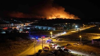 Edirnede orman yangını: Alevlerin evlere sıçramasına ramak kaldı