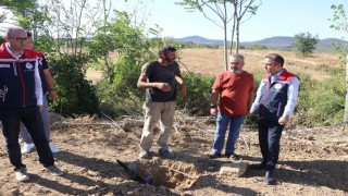 Edirnede sera yatırımlarıyla tarımsal üretim kapasitesi artırılıyor