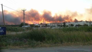 Edirnede tarlada çıkan yangın ormanlık alana doğru ilerliyor