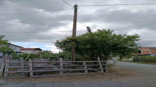 Eğik duran elektrik direği düzeltildi