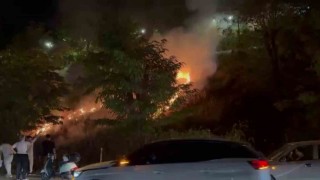 Eğlence için yakılan meşale yangın çıkardı