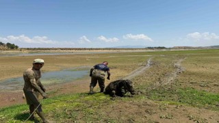 Ekiplerin canhıraş mücadelesi takdir topladı