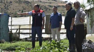 Eko-Köyde tarımsal inceleme yapıldı