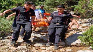 Ekşi toplamak için gittiği arazide hayatını kaybetti