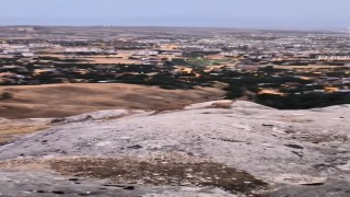 Elazığda dağ keçileri görüldü