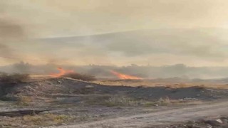 Elazığda örtü yangını söndürüldü