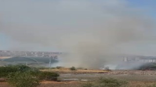 Elazığda otluk alanda çıkan yangın söndürüldü