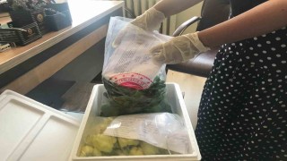 Elazığda pestisit denetimleri sürüyor