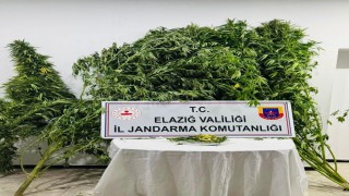 Elazığda uyuşturucuyla mücadele