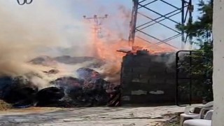 Elektrik kabloları odunlukta yangına neden oldu