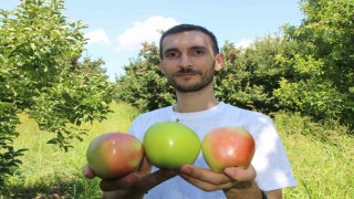 Elmalarını zirai dondan koruyan çiftçi hasada başladı: 80 ton rekolte bekliyor