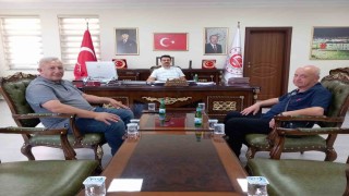 Emirdağ ve köylerinde başıboş köpekler toplatılıyor