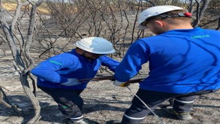Enerji hatları yangının ardından yeniden onarılıyor