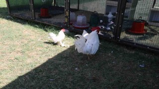 Engelsiz Yaşam Merkezinden yeni rehabilitasyon uygulaması