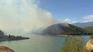 Erbaada orman yangını: 50 hektarlık alan kül oldu