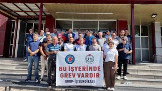 Erciş SYDV çalışanları greve başladı