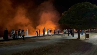 Ercişte anız yangını