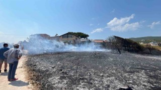 Erdekte arazi yangını kısa sürede söndürüldü: Can ve mal kaybı yaşanmadı