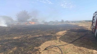 Erdekte zeytinlik ve otluk alanda çıkan yangın söndürüldü