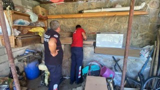 Erzincanda boruya sıkışan yavru kediyi itfaiye kurtardı