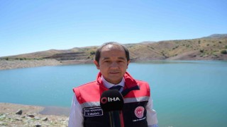 Erzincanda Göyne Barajına 200 bin yavru sazan balığı bırakıldı