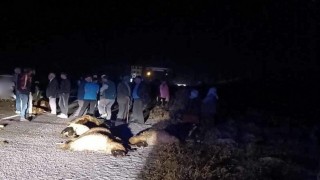 Erzincanda otomobil koyun sürüsüne daldı