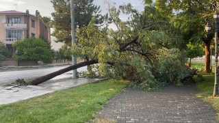 Erzincanda sağanak ve fırtına hayatı felç etti