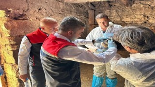 Erzurumda hastalık takibi kararlılıkla devam ediyor