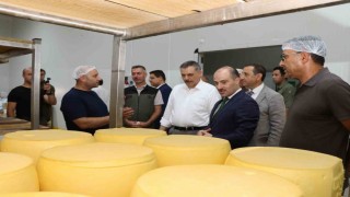 Erzurumda kaşar üretimi yaygınlaşıyor