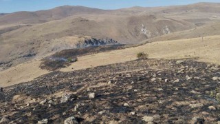 Erzurumda korkutan ot yangını