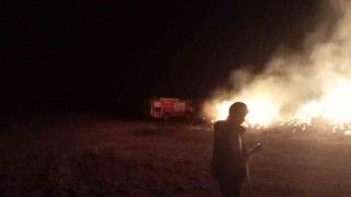 Erzurumoa ot yangını