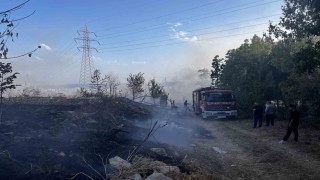 Esenyurtta otluk alanda çıkan yangın söndürüldü
