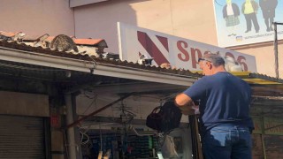 Eskişehirde esnaf hergün çatıya tırmanıp kedileri besliyor