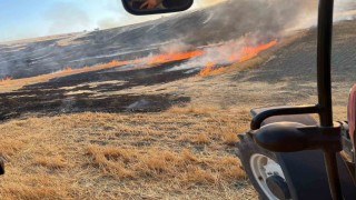 Eskişehirde otluk alanda çıkan yangın ormana sıçramadan söndürüldü