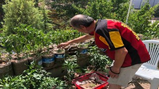 Eskişehirli esnaf iş yerinin balkonunu bahçeye çevirdi