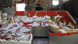 Esnafta ‘balık sezonu hazırlığı