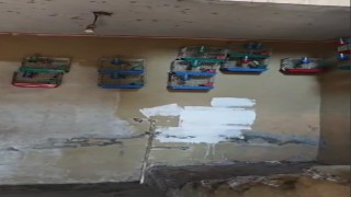 Evinde saka kuşu bulunan şahsa 151 bin 200 lira para cezası