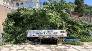 Evinin bahçesine saklamak istedi, narkotik köpeğine takıldı