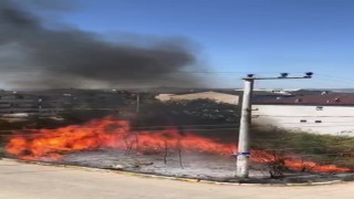 Evlerin bitişiğinde çıkan yangın korkuttu