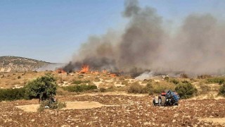 Ezinede başlayan orman yangını kontrol altına alındı