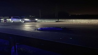 Feci kazada hayatını kaybeden kadının kimliği belli oldu