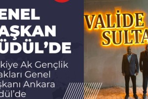 Ferhat Aydoğan’dan 87 yaşındaki dedeye destek