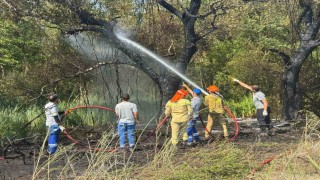 Fethiye Akmaz Plajında çıkan yangın kontrol altına alındı