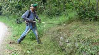 Fındıkta hasat öncesi en zor iş: Yevmiyesi 6 bin lira